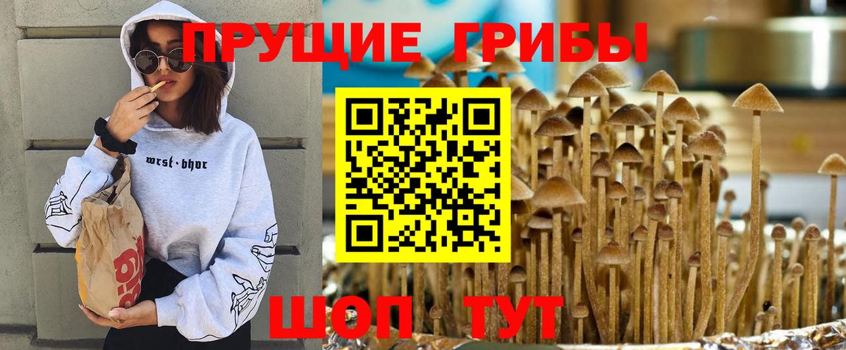 Псилоцибиновые грибы MAGIC MUSHROOMS  Галлюциногенные грибы мицелий  Ногинск  Вход с VPN 